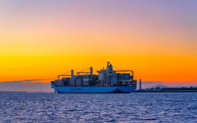 Despachante Aduaneiro: Seu passaporte para o sucesso global.